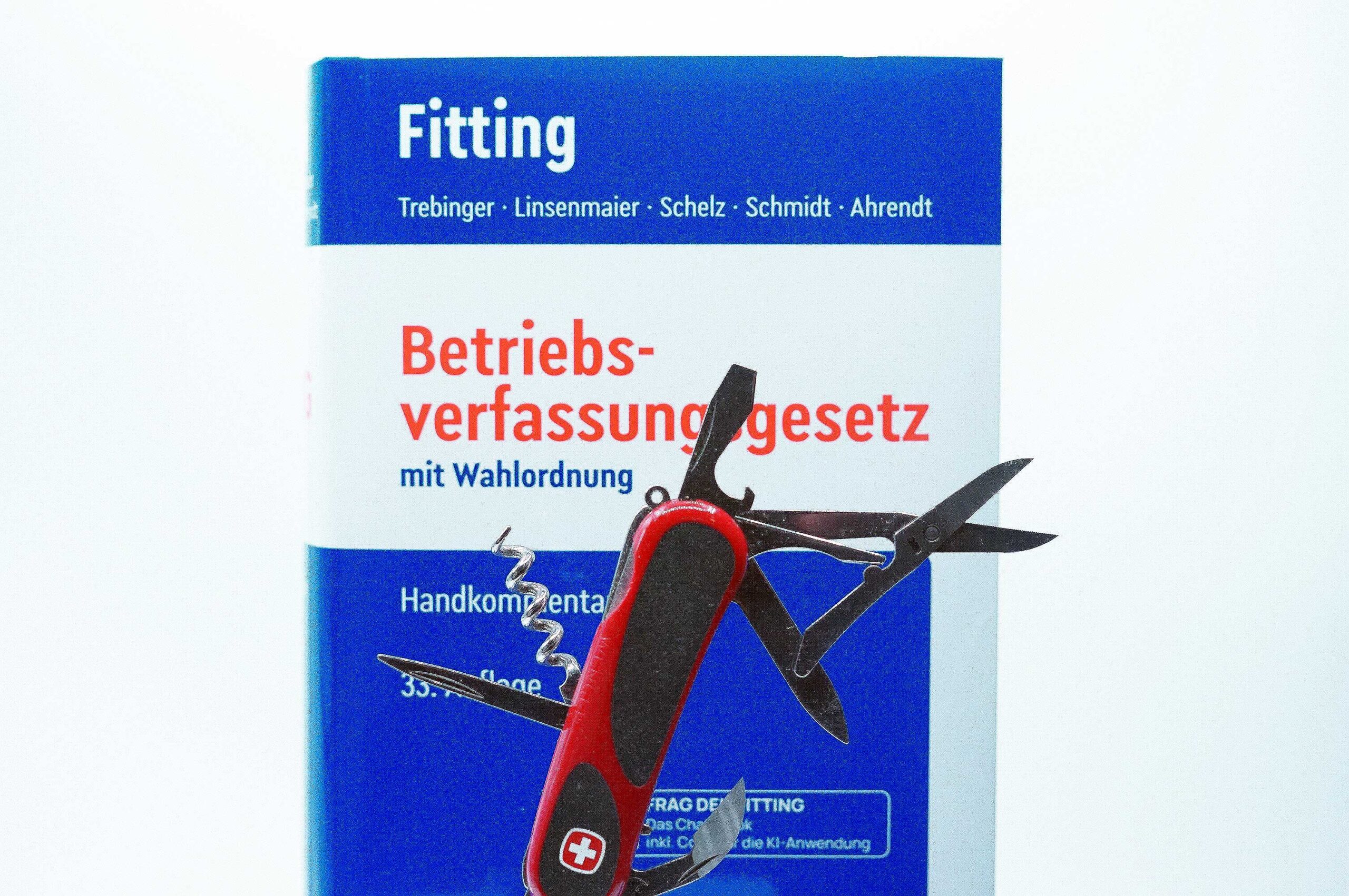 Coverabbildung vom Fitting, BetrVG Chat-Book