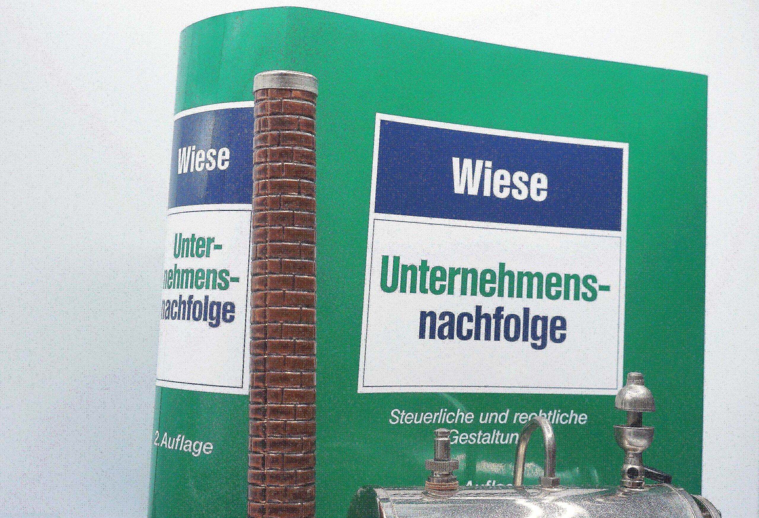 Buchcover: Wiese, Unternehmensnachfolge